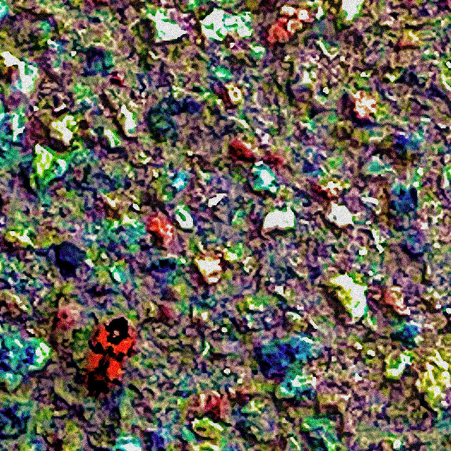 Bug cover art