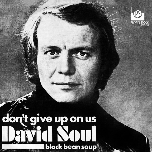 Cover of Don't Give up on Us by David Soul