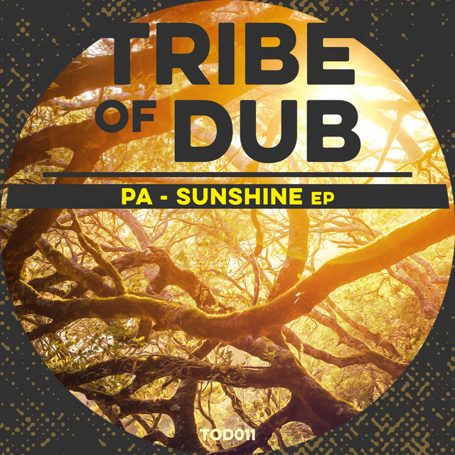 Righteous Tune - Original Mix cover art