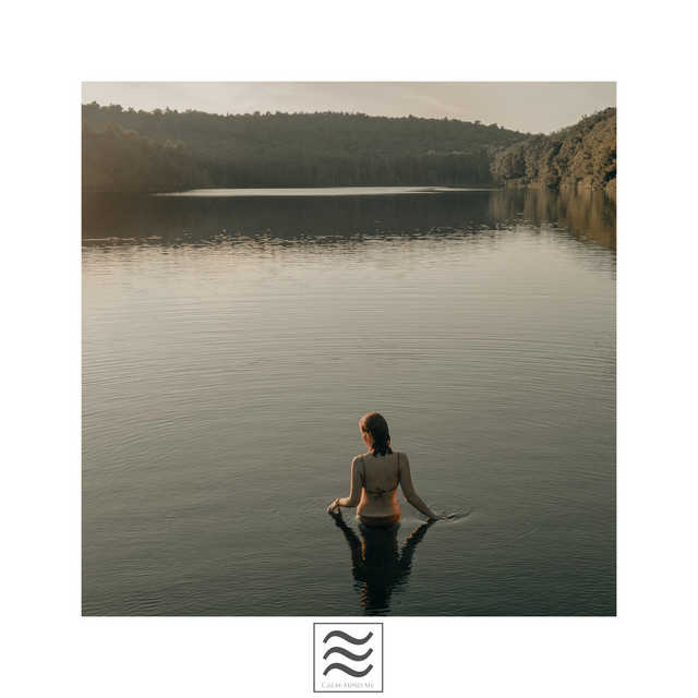 Restful Shushers for Mind Relax | Spotify