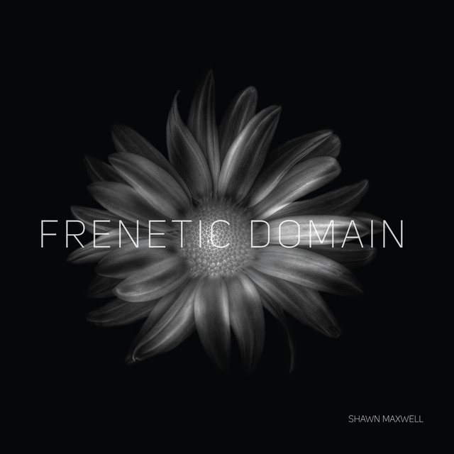 Frenetic Domain cover art