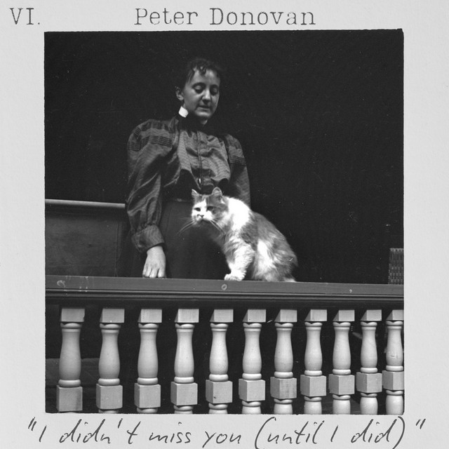 I Didn't Miss You (Until I Did) cover