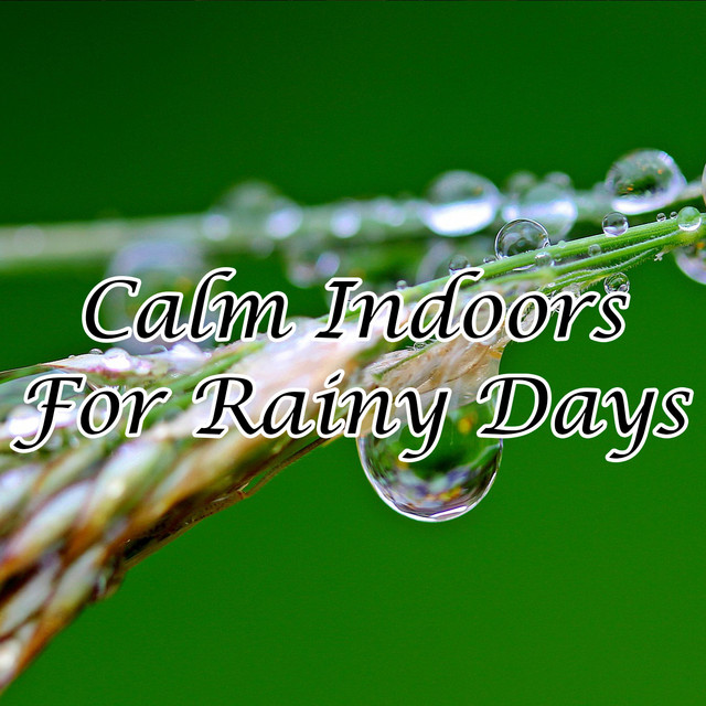 50 Tracks Calm Indoors For Rainy Days cover art
