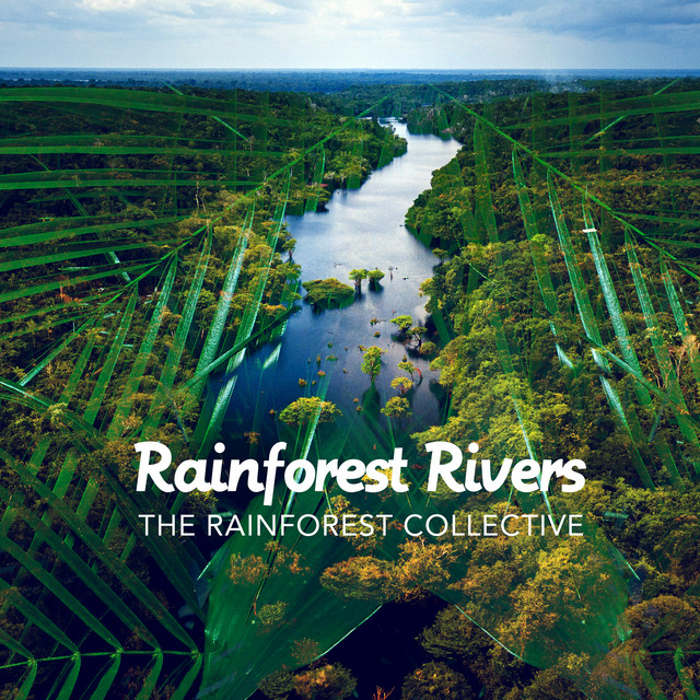 Rainforest Rivers - Album by The Rainforest Collective | Spotify