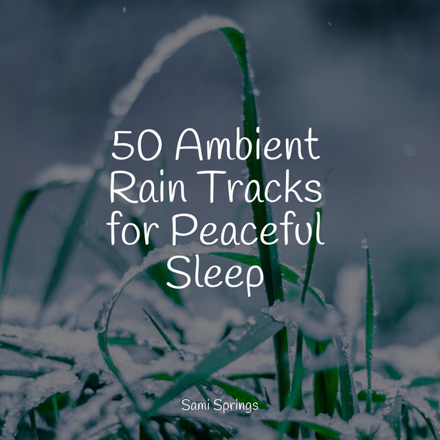 50 Ambient Rain Tracks for Peaceful Sleep - Album by Calm Shores | Spotify
