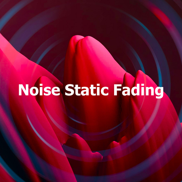 Noise Static Fading - Album by White! Noise | Spotify