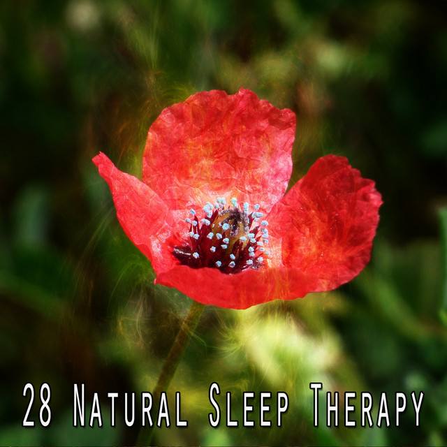 28 Natural Sleep Therapy - Album by Rest & Relax Nature Sounds Artists ...