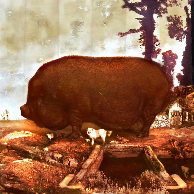 Absurdtia cover