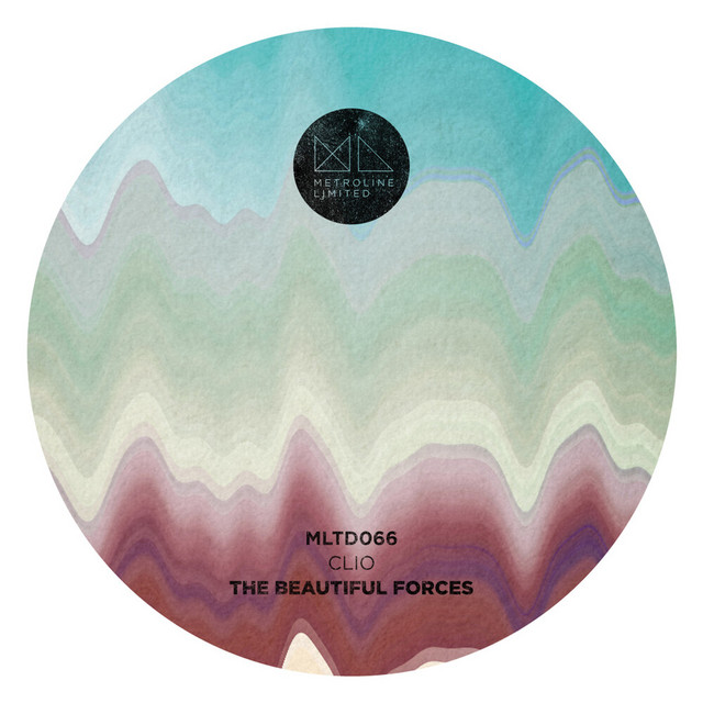 The Beautiful Forces cover art