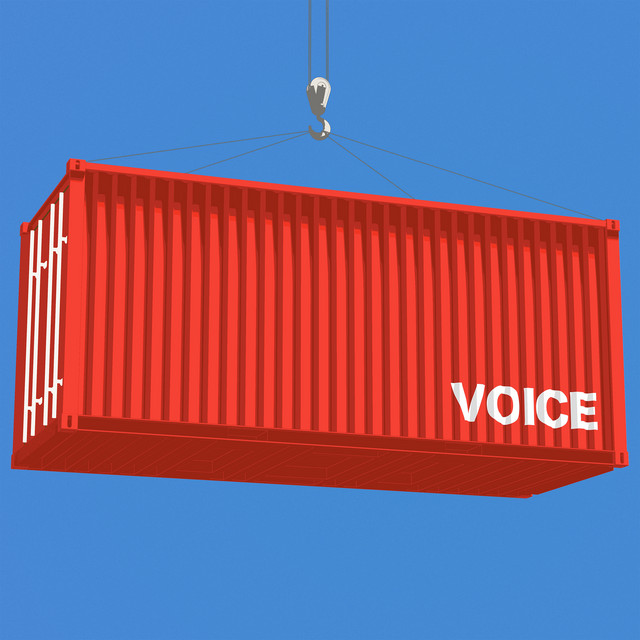 Voice cover art