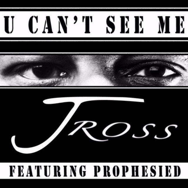 You Can't See Me cover art