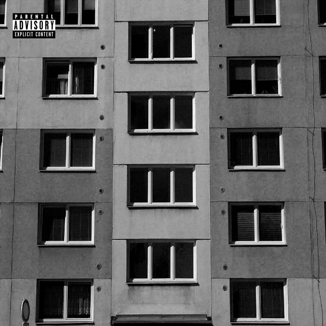Panelak cover art
