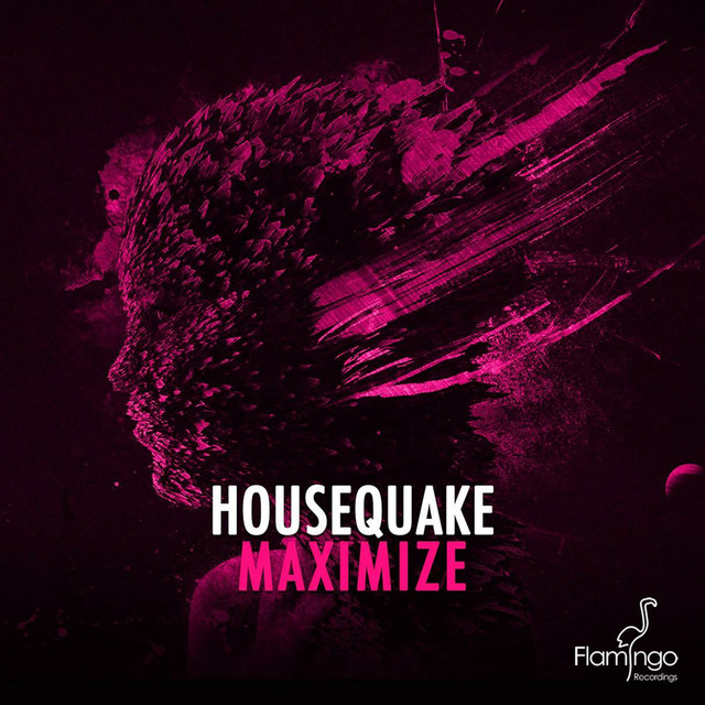 Maximize - Original Mix