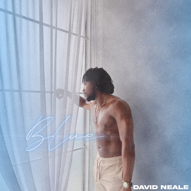 Blue cover
