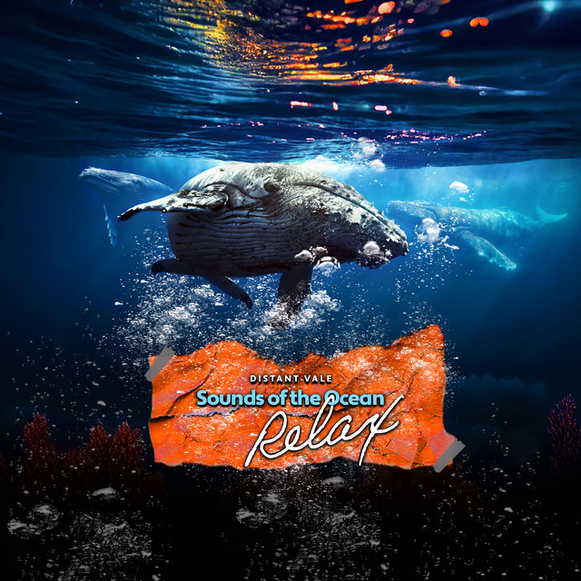 Sounds of the Ocean: Relax cover art