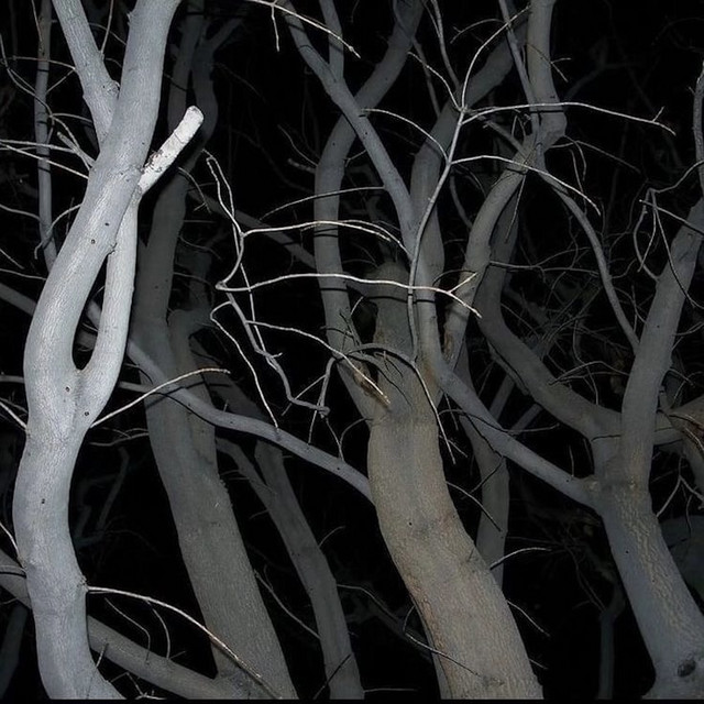 For The Ones Alone cover art