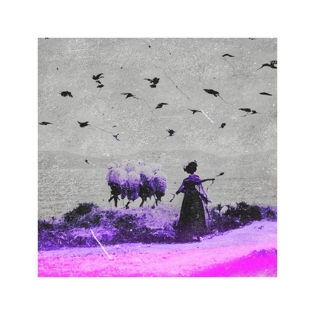 Para Penelope V (Ardeallo Versión) (single)