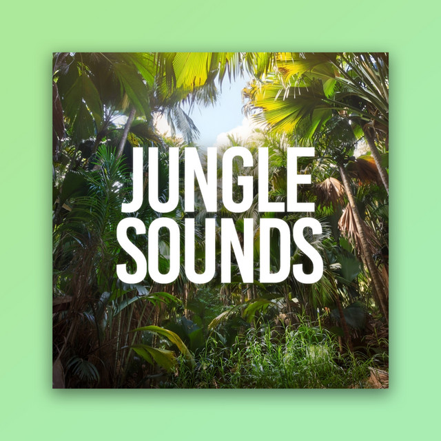 Jungle Sounds cover art
