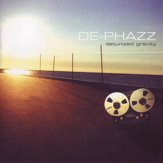 Detunized Gravity cover art