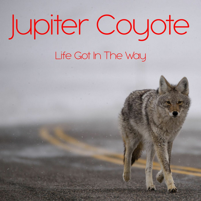 Life Got in the Way cover art