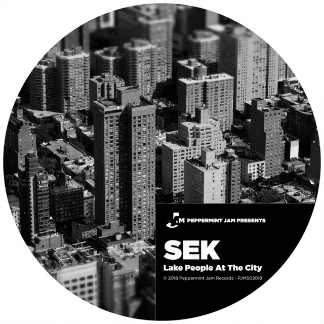 Rhythm Junktion album art