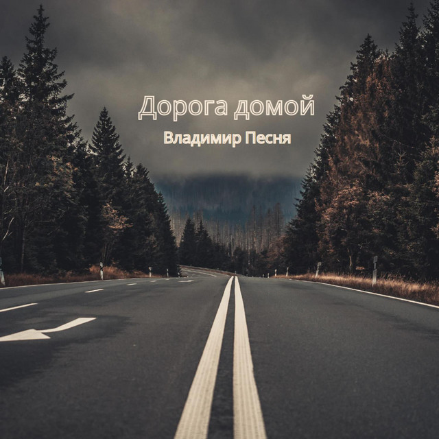 Обкладинка: Дорога домой — Владимир Песня
