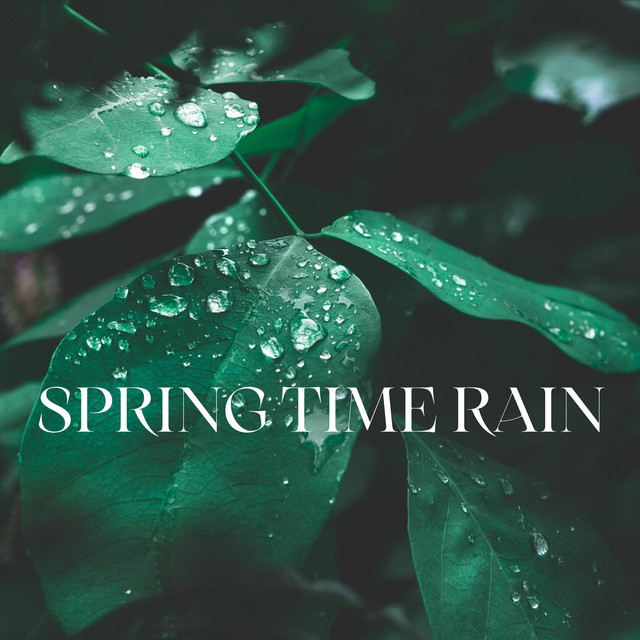 Spring Time Rain by Outdoor Sound Makers