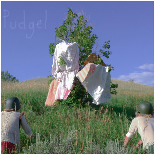 Pudgel cover art