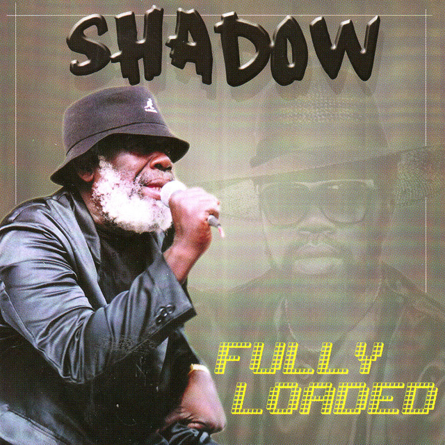 Fully Loaded cover art