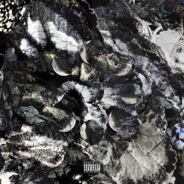 V O I D cover art