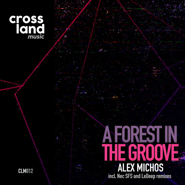 A Forest in the Groove album art