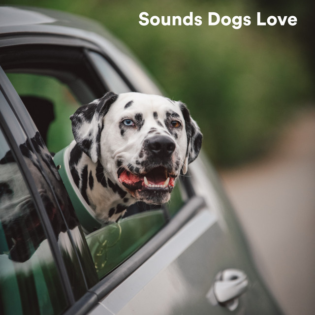Sounds Dogs Love cover art