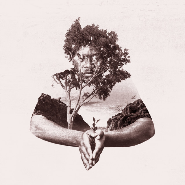 Revision For Regrowth cover art