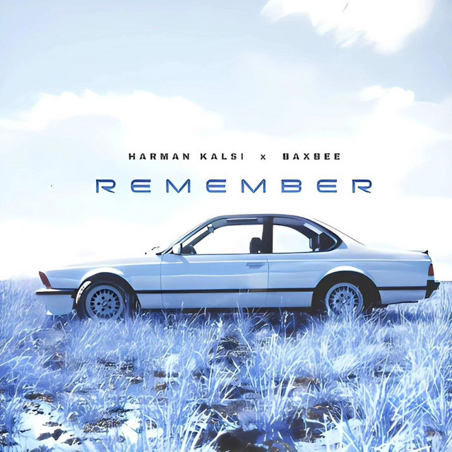 Cover of Remember by Harman Kalsi