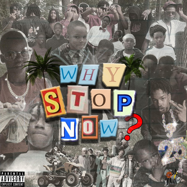 Why stop now? cover art