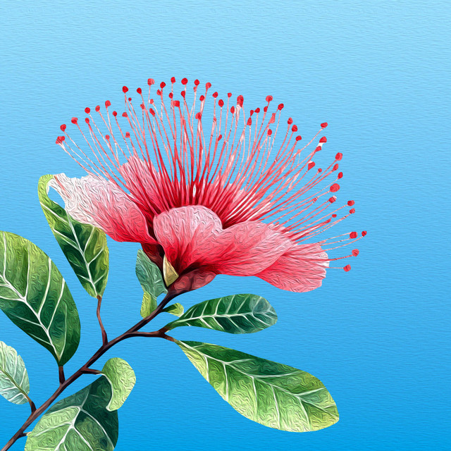 Caliandra