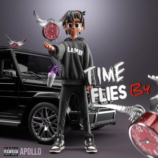 Time Flies By ! cover art