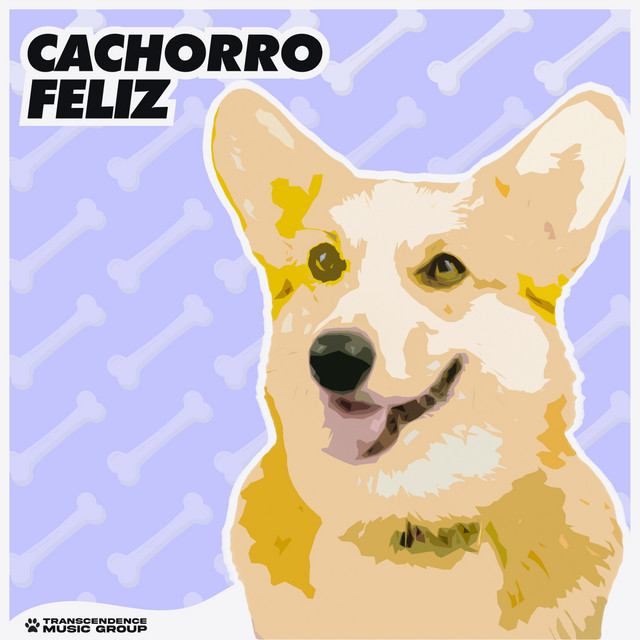 Cachorro Feliz - Album by Música de Cachorro Calmante | Spotify