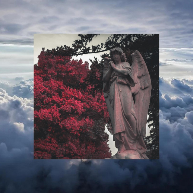 Forests cover art