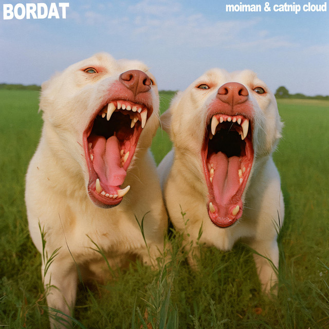 BORDAT cover art