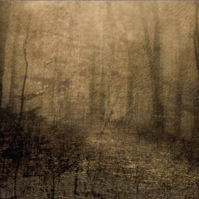 Of Embers cover art