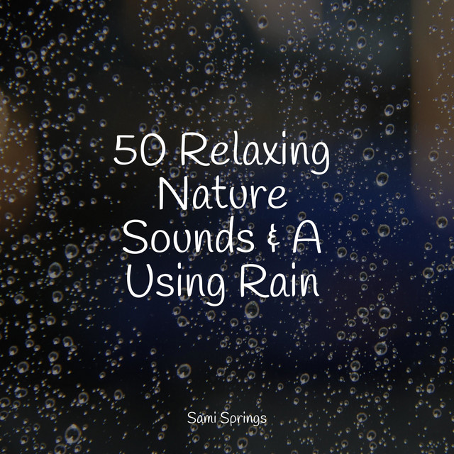50 Relaxing Nature Sounds & A Using Rain cover art