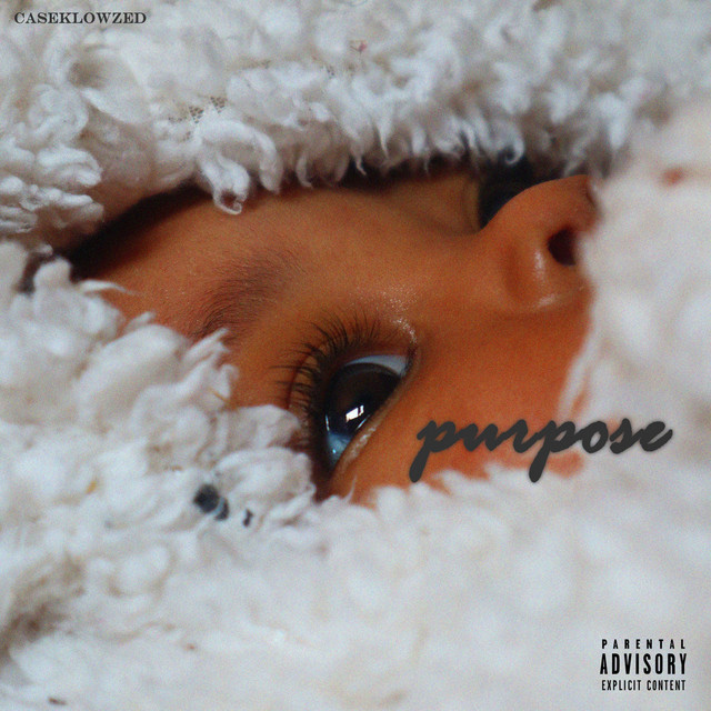 Purpose cover art