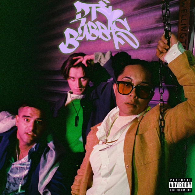 IDIOT CHECK cover art