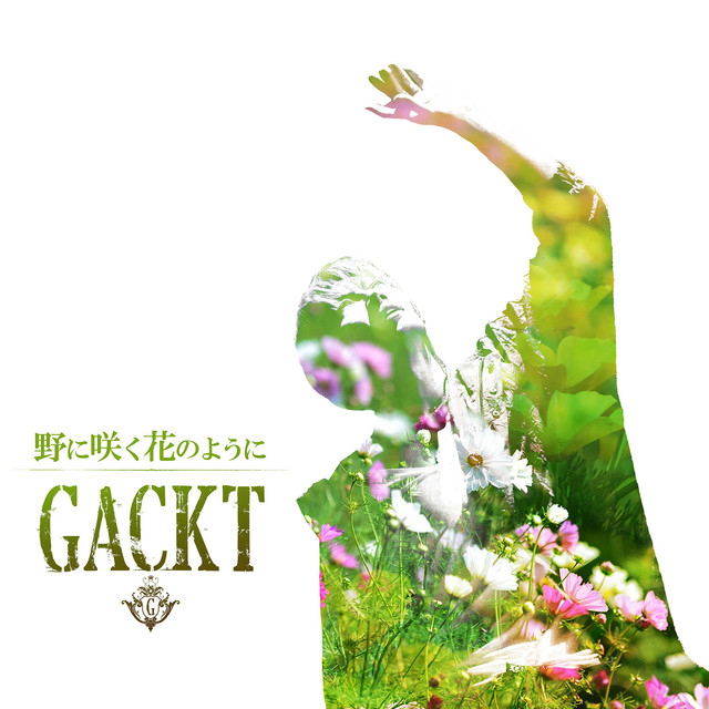 野に咲く花のように (feat. K) - LAST SONGS LIVE ver. - song and