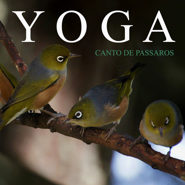 Yoga: Canto de Pássaros cover art