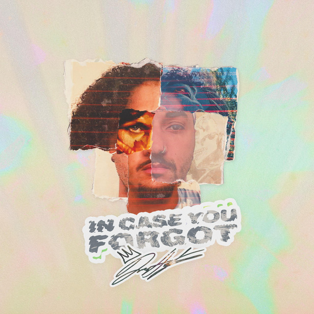 In Case You Forgot cover art