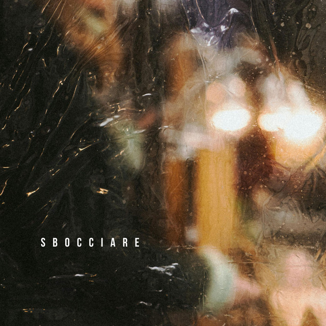 Sbocciare album image