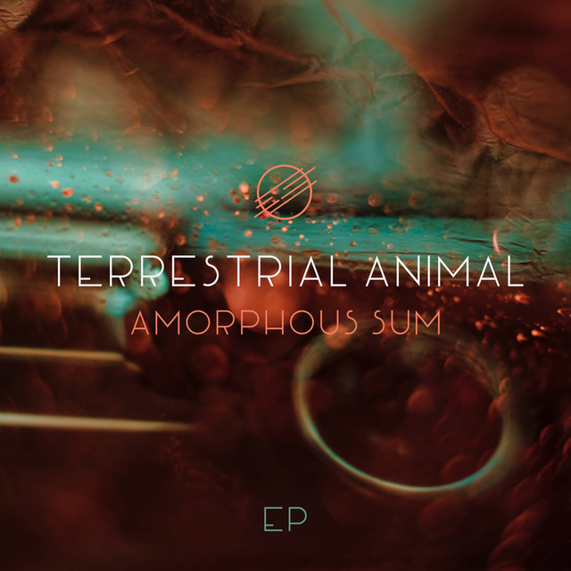 Amorphous Sum cover art