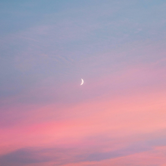 And Peace Will Follow cover art